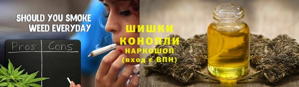 соль ск Гусиноозёрск