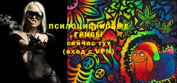 соль ск Гусиноозёрск