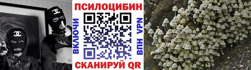 Псилоцибиновые грибы ЛСД  Подпорожье 
